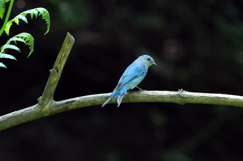 电子游戏app下载安装
