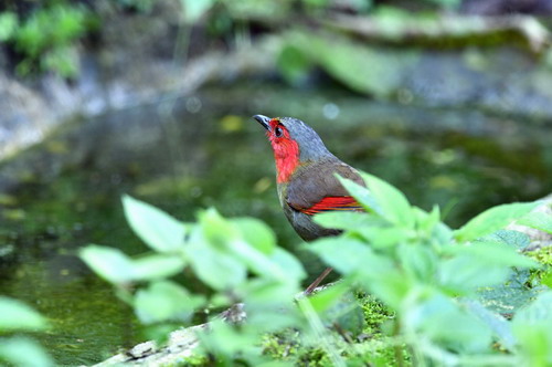 电子游戏app下载安装
