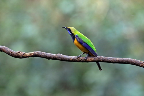 电子游戏app下载安装