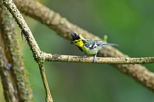 电子游戏app下载安装
