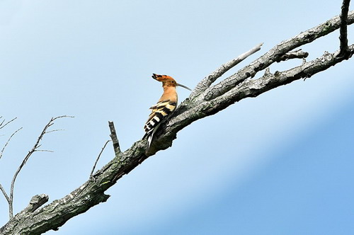 电子游戏app下载安装