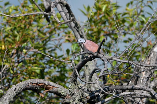 电子游戏app下载安装