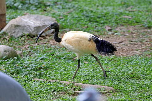 电子游戏app下载安装