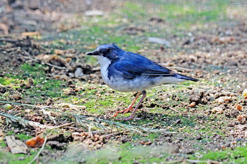 电子游戏app下载安装