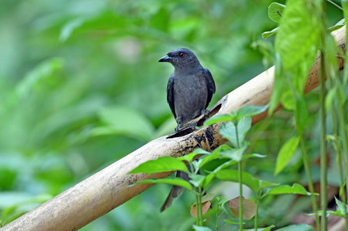 电子游戏app下载安装