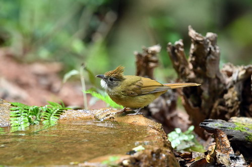 电子游戏app下载安装