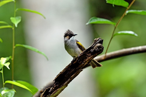 电子游戏app下载安装