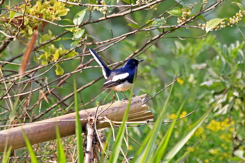 电子游戏app下载安装