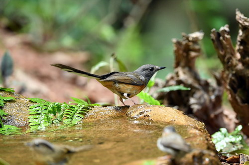 电子游戏app下载安装