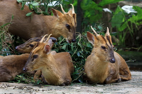 电子游戏app下载安装