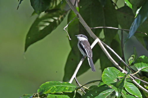 电子游戏app下载安装