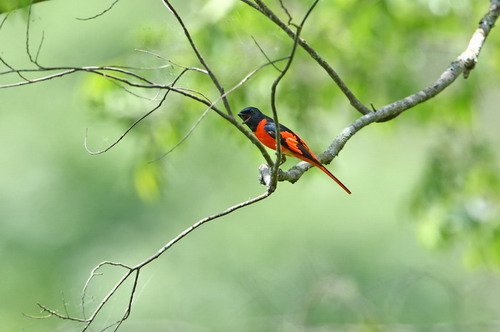 电子游戏app下载安装
