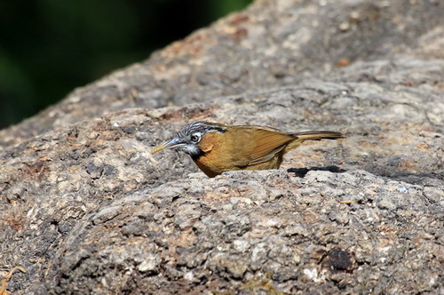 电子游戏app下载安装