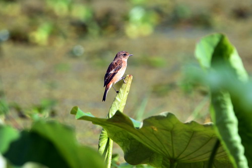 电子游戏app下载安装