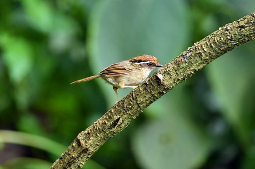 电子游戏app下载安装
