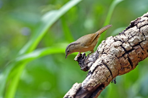 电子游戏app下载安装