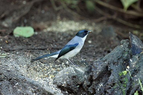 电子游戏app下载安装