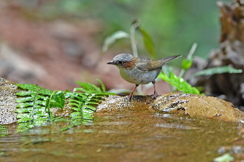 电子游戏app下载安装