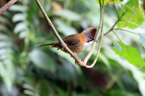 电子游戏app下载安装