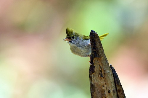 电子游戏app下载安装