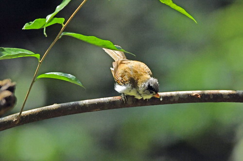 电子游戏app下载安装