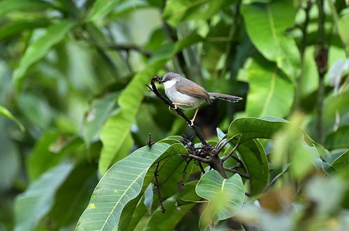 电子游戏app下载安装