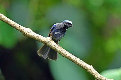 电子游戏app下载安装