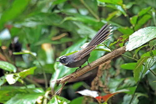 电子游戏app下载安装