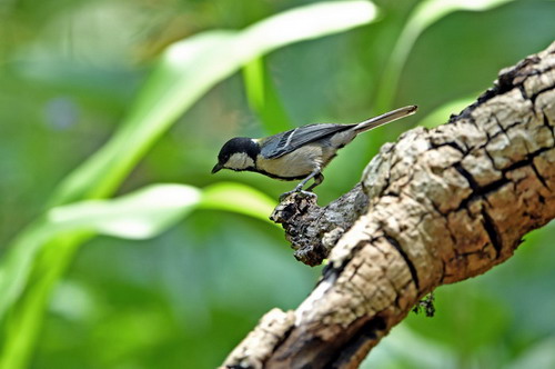 电子游戏app下载安装