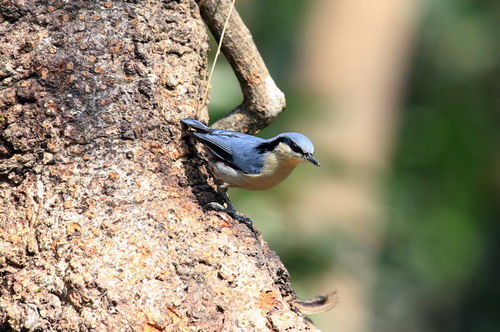 电子游戏app下载安装