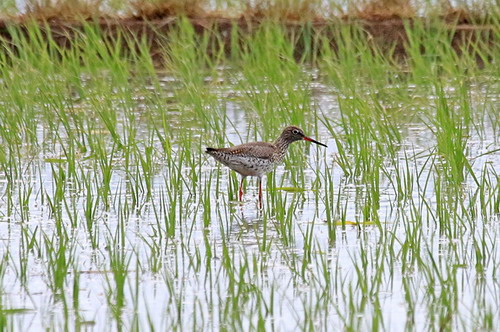 电子游戏app下载安装