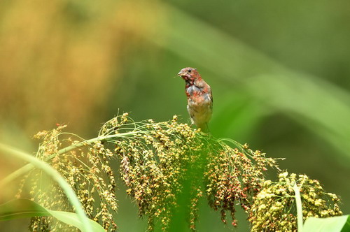 电子游戏app下载安装