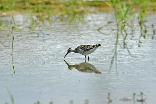 电子游戏app下载安装