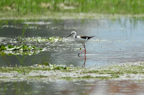 电子游戏app下载安装