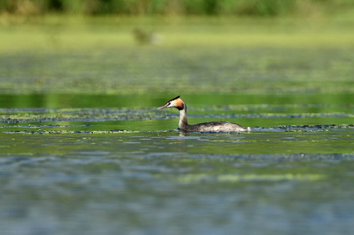 电子游戏app下载安装