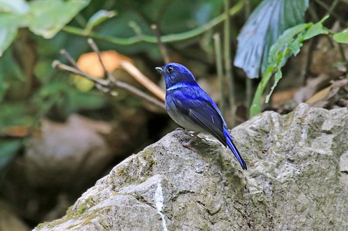 电子游戏app下载安装