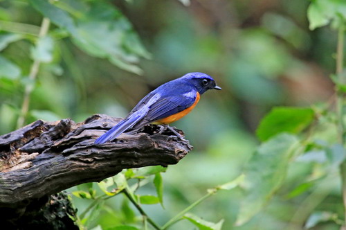 电子游戏app下载安装