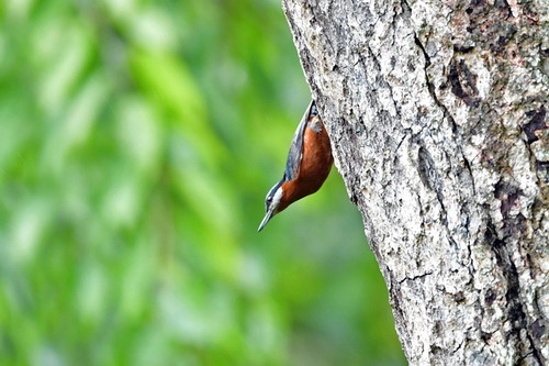 电子游戏app下载安装