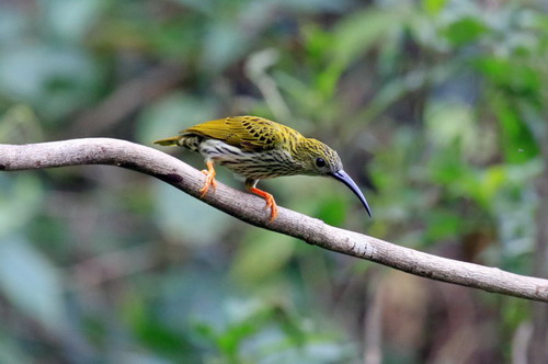 电子游戏app下载安装