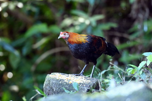 电子游戏app下载安装