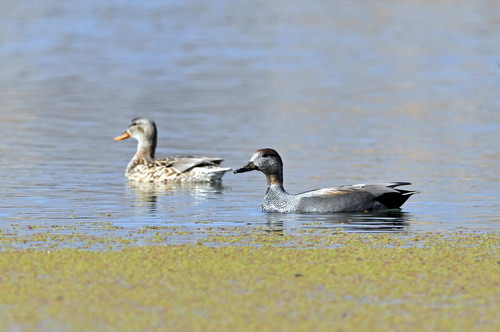 电子游戏app下载安装