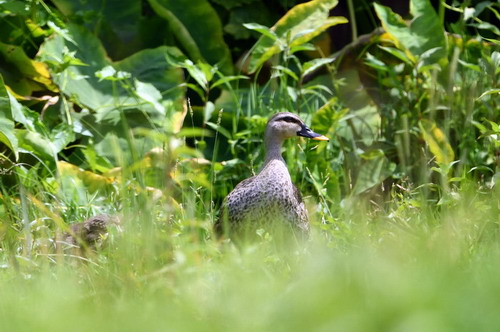 电子游戏app下载安装