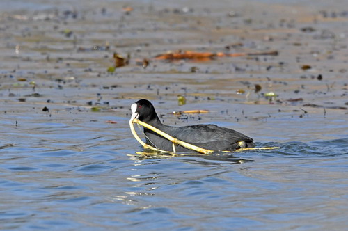 电子游戏app下载安装