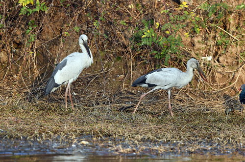 电子游戏app下载安装