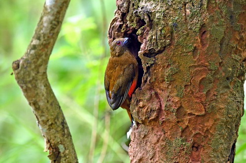 电子游戏app下载安装