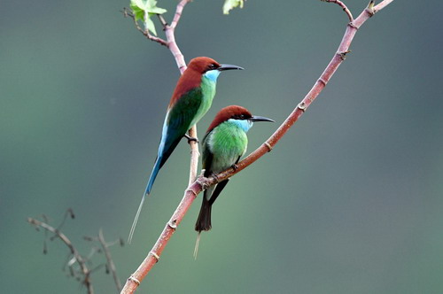 电子游戏app下载安装