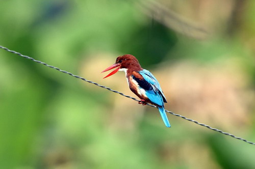 电子游戏app下载安装