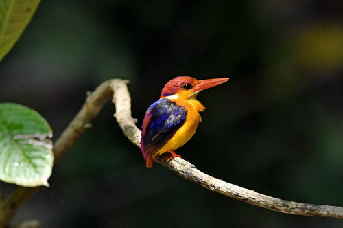 电子游戏app下载安装