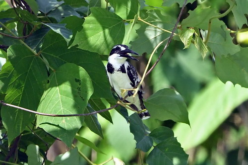电子游戏app下载安装