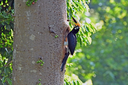 电子游戏app下载安装